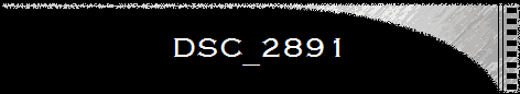DSC_2891