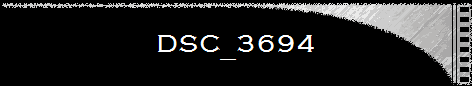 DSC_3694
