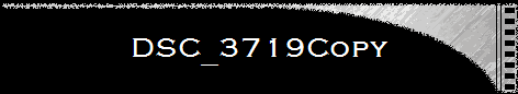 DSC_3719Copy