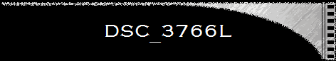 DSC_3766L