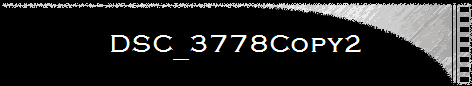 DSC_3778Copy2
