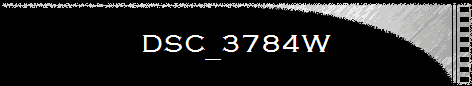 DSC_3784W