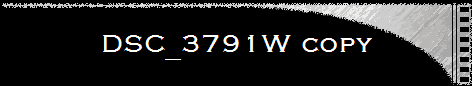 DSC_3791W copy
