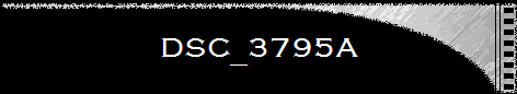 DSC_3795A